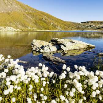 Die Flüeseen im Avers