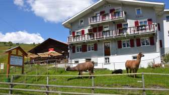 Das Gasthaus Alpina in Tschappina am Heinzenberg