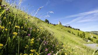 Lohn mit der reformierten Kirche am Schamserberg