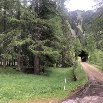 Feuerstelle Tamboboden und Tambobrücke Splügen
