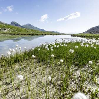Lai Pintg in der Moorlandschaft Anarosa